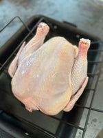 Chicken for the Year 2026