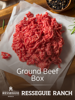 Ground Beef Box