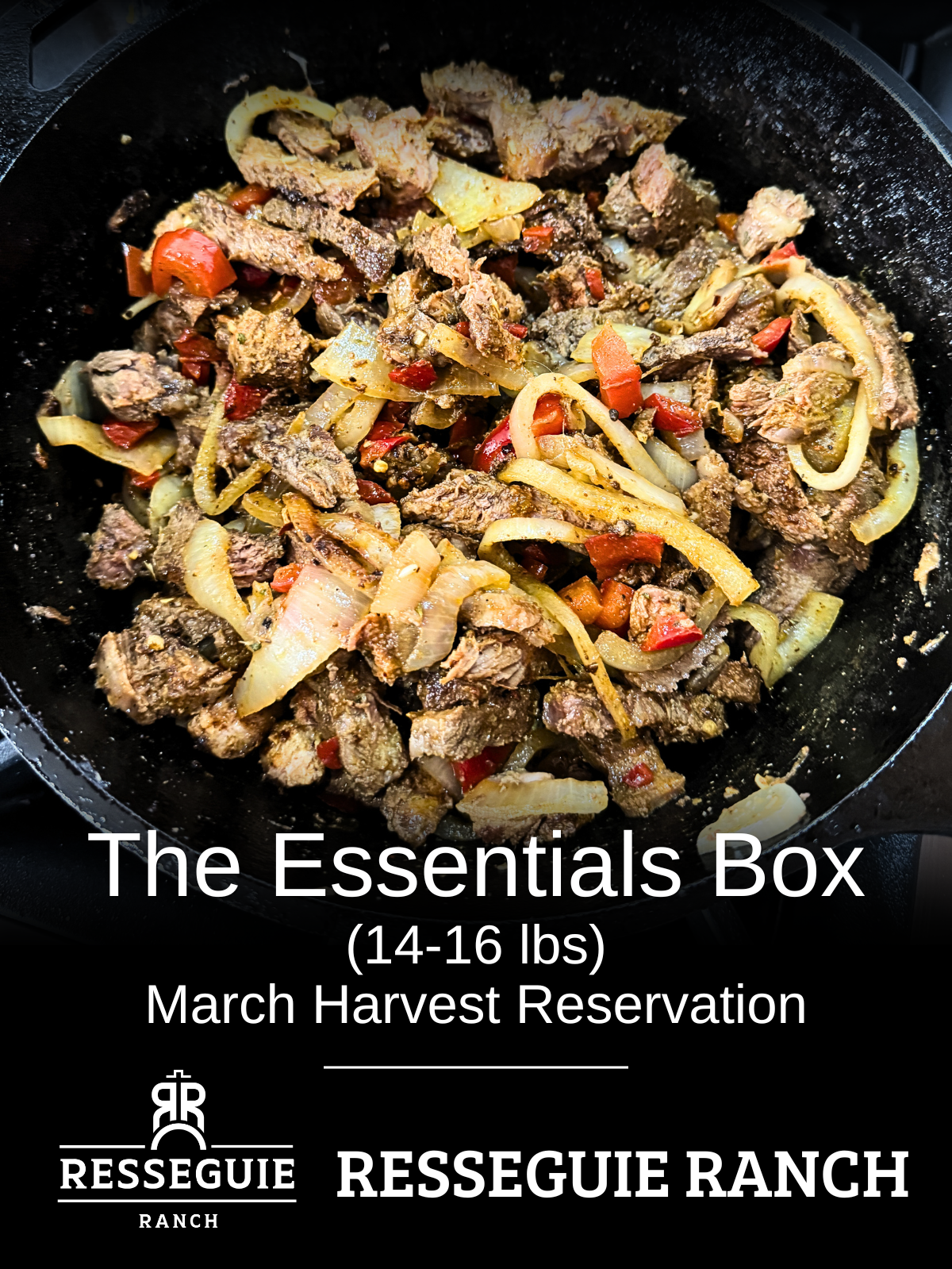 The Essentials Box (14-16 lbs)
