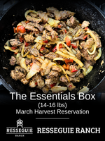 The Essentials Box (14-16 lbs)